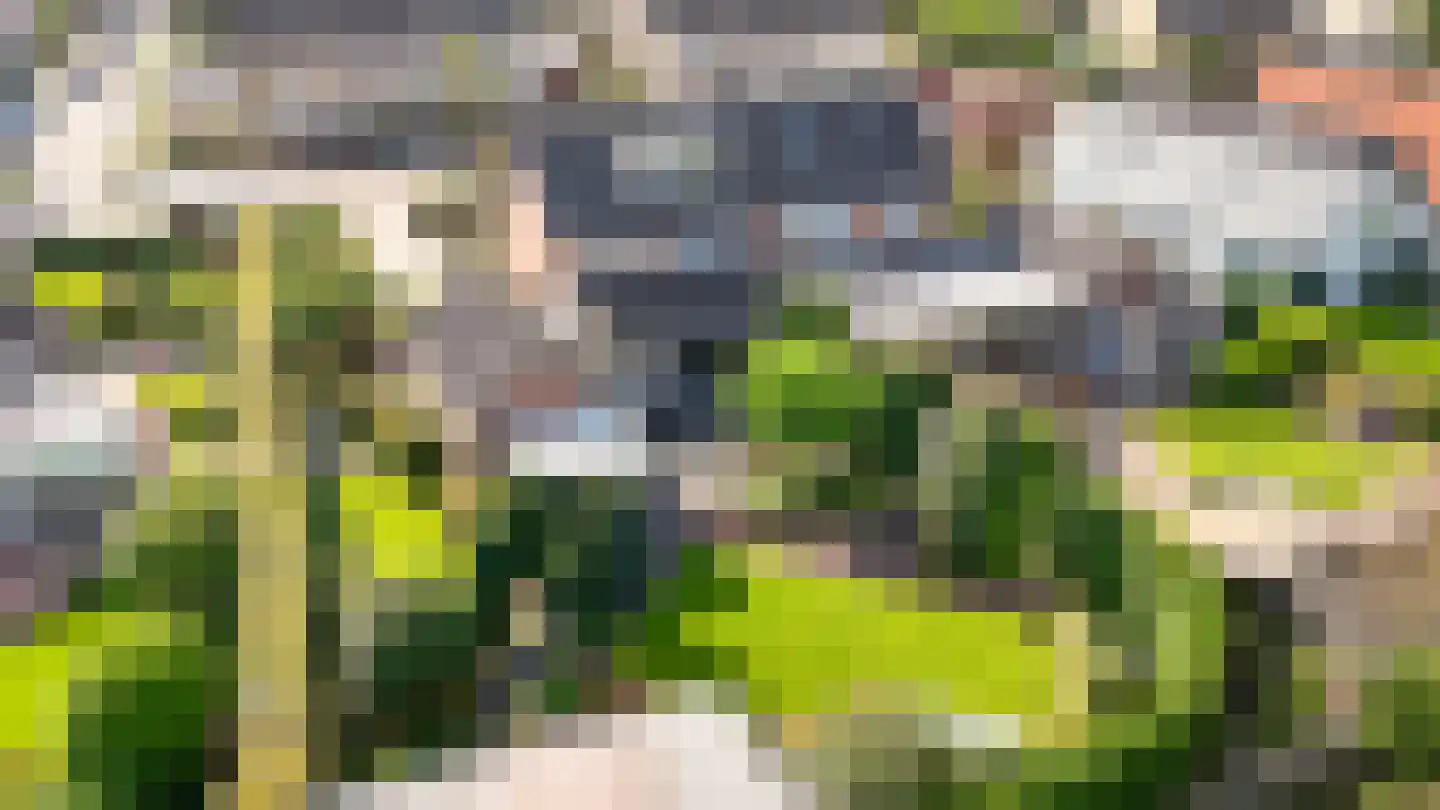 Hogeweg 50 Wamel thumbnail 69