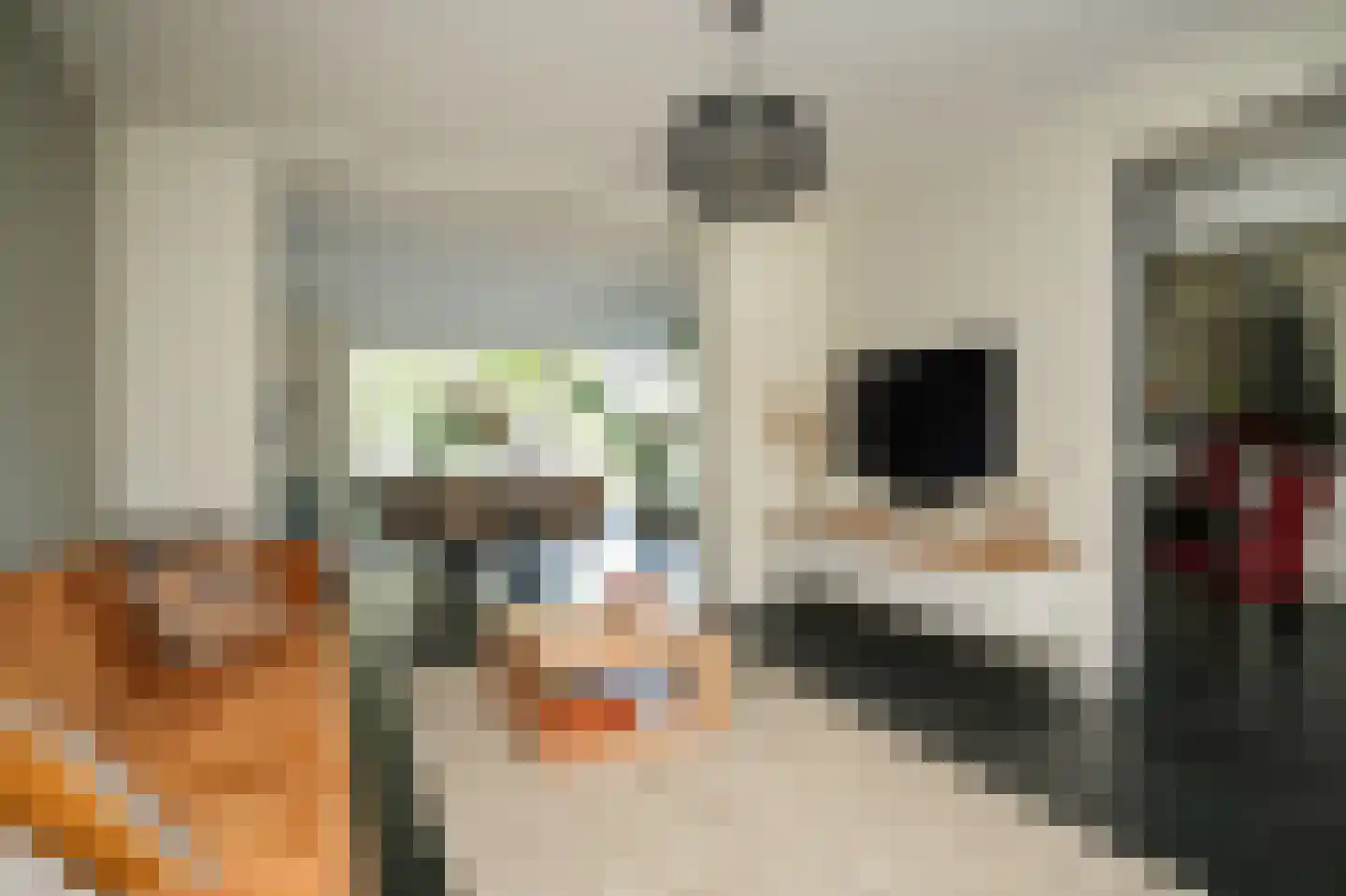 Hogeweg 50 Wamel thumbnail 8