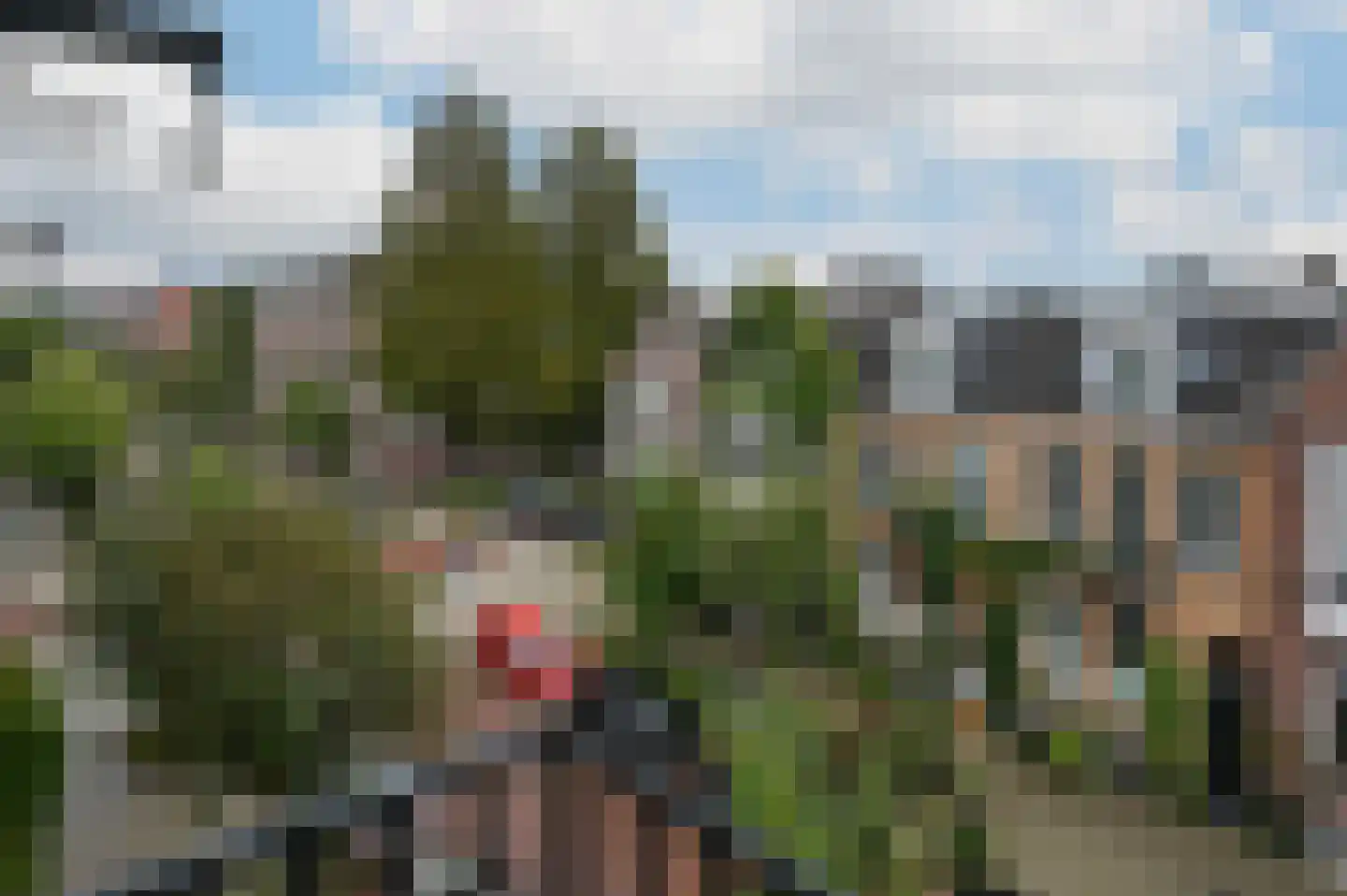 Hogeweg 53 Amsterdam thumbnail 20