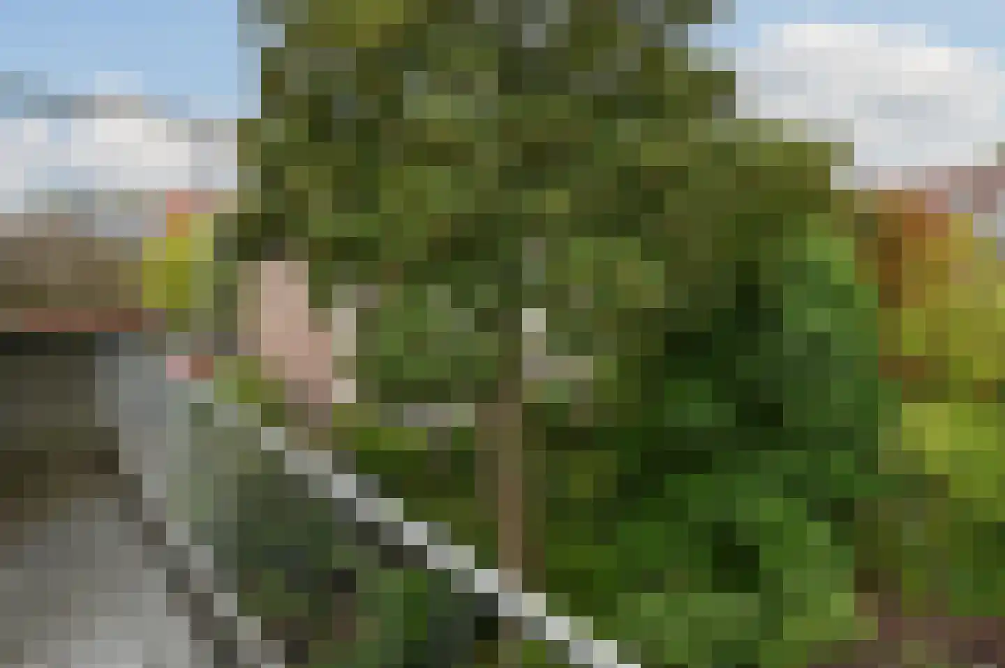 Hogeweg 53 Amsterdam thumbnail 25