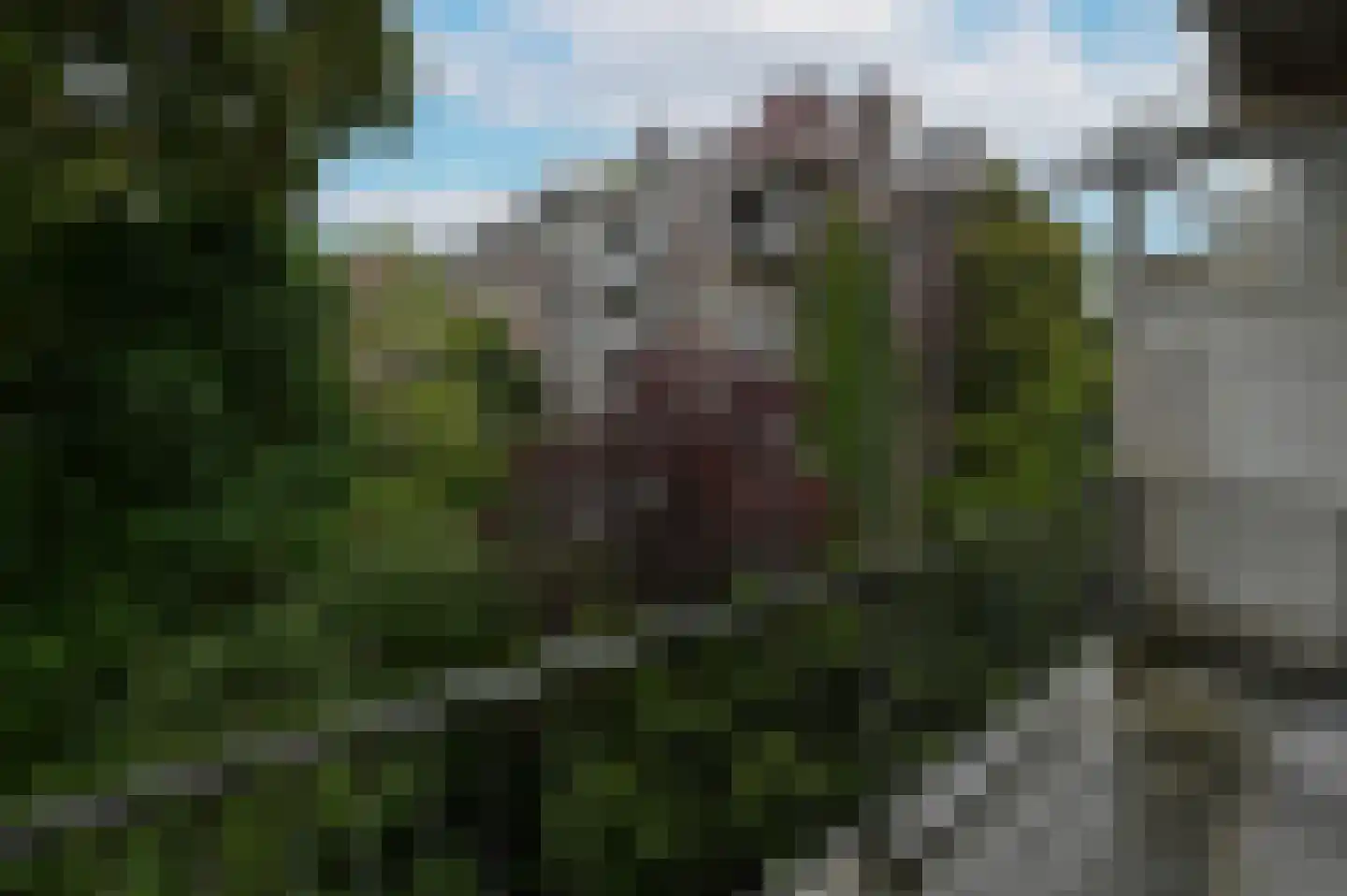 Hogeweg 53 Amsterdam thumbnail 26