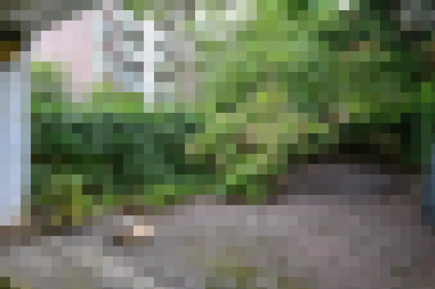 Hogeweg 53 Amsterdam thumbnail 34
