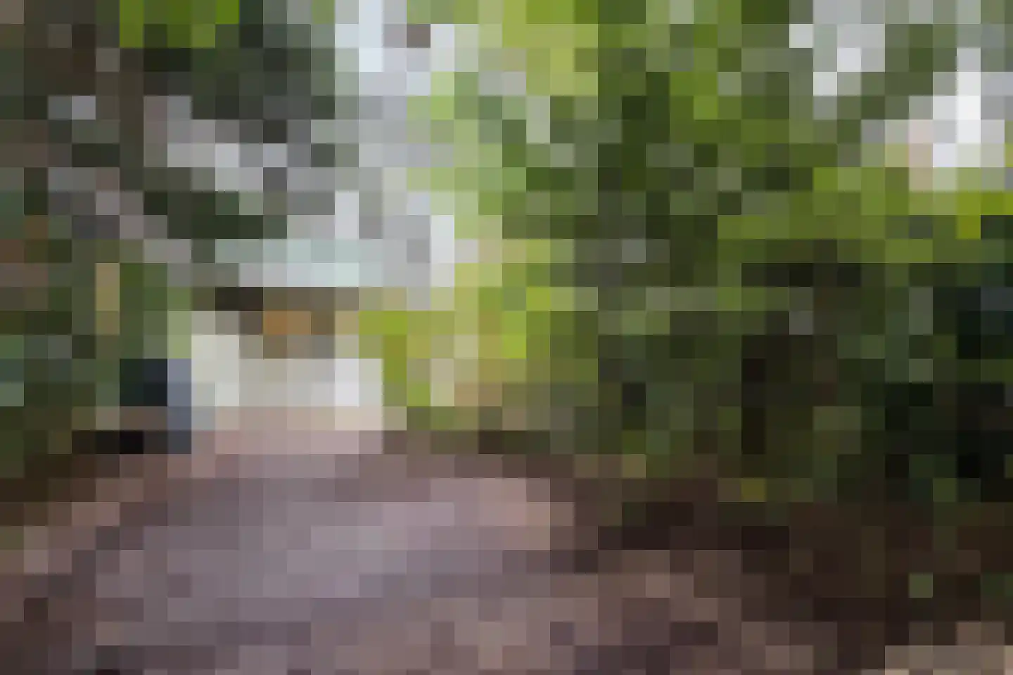 Hogeweg 53 Amsterdam thumbnail 35
