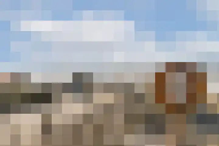 Hogeweg 54 F 15 Zandvoort thumbnail 17