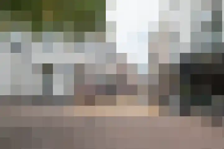 Hogeweg 54 F 8 Zandvoort thumbnail 17
