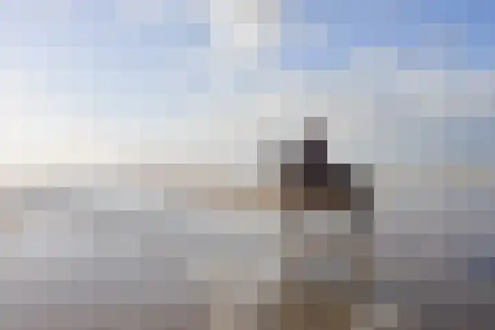 Hogeweg 54 F 8 Zandvoort thumbnail 19