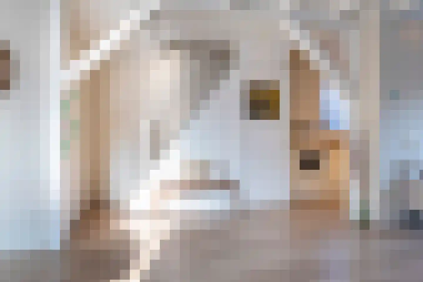 Hogeweg 55 Uitgeest thumbnail 14
