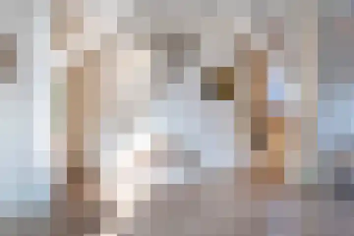 Hogeweg 55 Uitgeest thumbnail 14