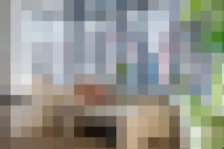 Hogeweg 55 Uitgeest thumbnail 17