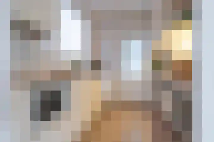 Hogeweg 55 Uitgeest thumbnail 18