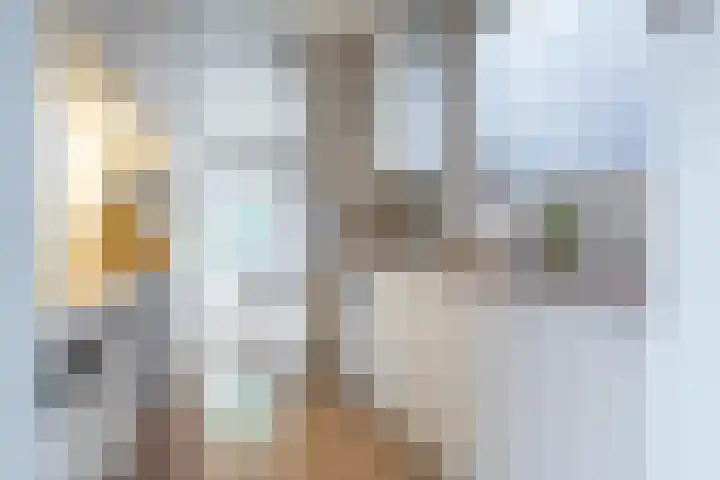Hogeweg 55 Uitgeest thumbnail 19