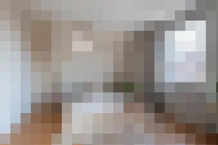 Hogeweg 55 Uitgeest thumbnail 31