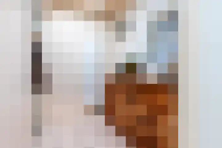 Hogeweg 55 Uitgeest thumbnail 52