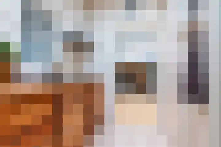 Hogeweg 55 Uitgeest thumbnail 53