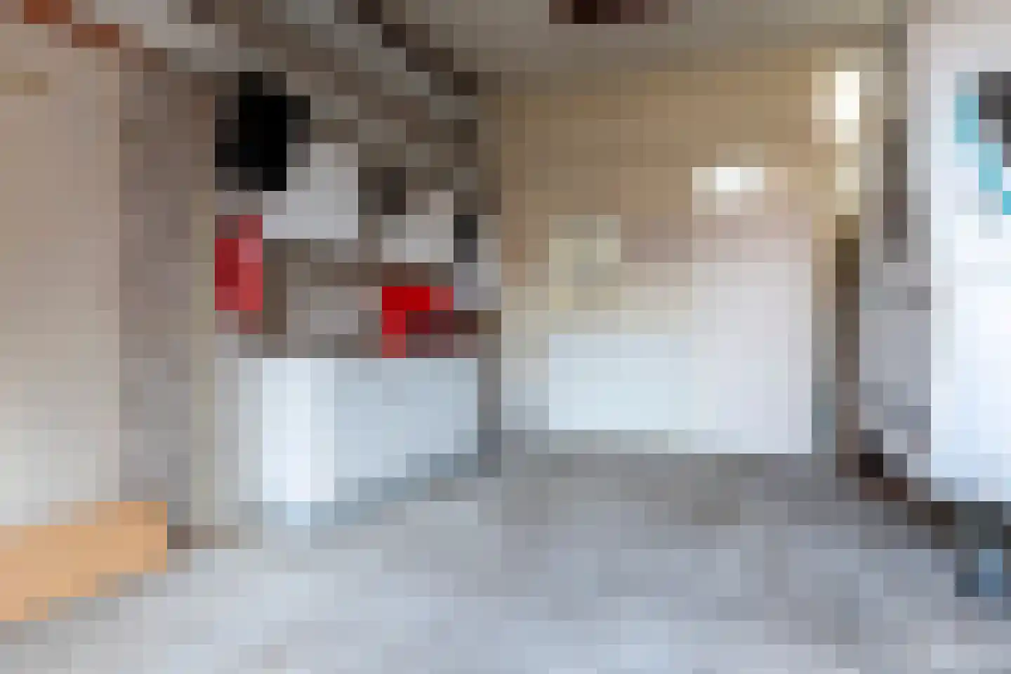 Hogeweg 55 Uitgeest thumbnail 55
