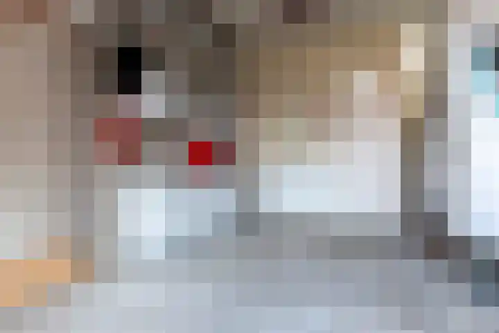 Hogeweg 55 Uitgeest thumbnail 55