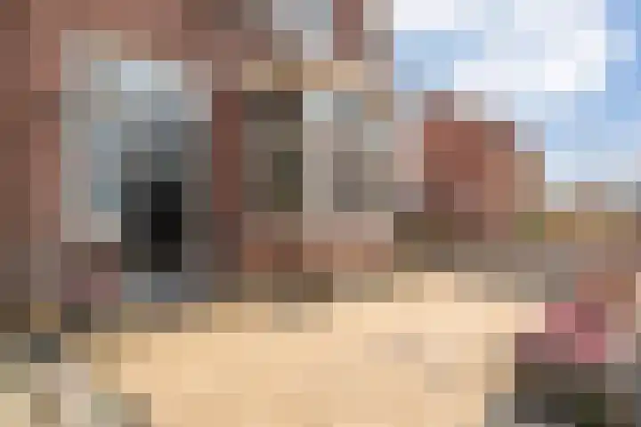 Hogeweg 55 Uitgeest thumbnail 9