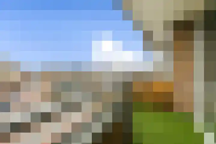 Hogeweg 56 F 6 Zandvoort thumbnail 12