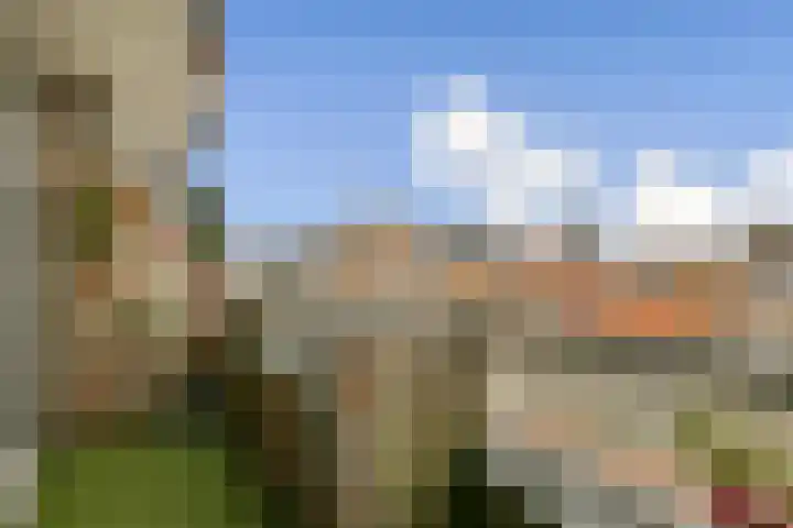 Hogeweg 56 F 6 Zandvoort thumbnail 13