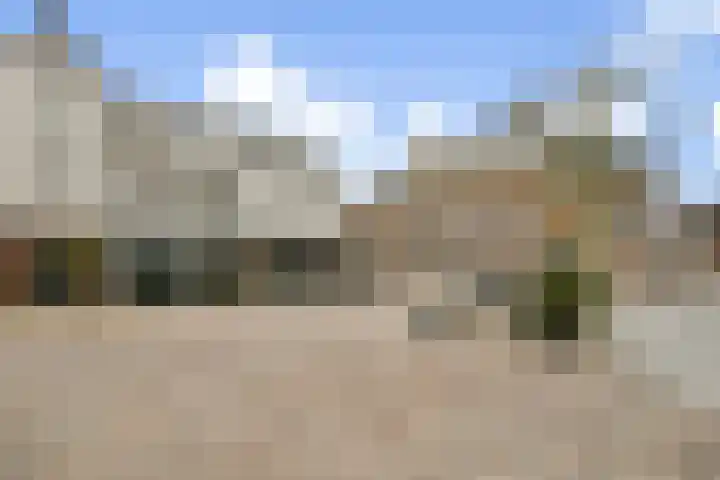 Hogeweg 56 F 6 Zandvoort thumbnail 22