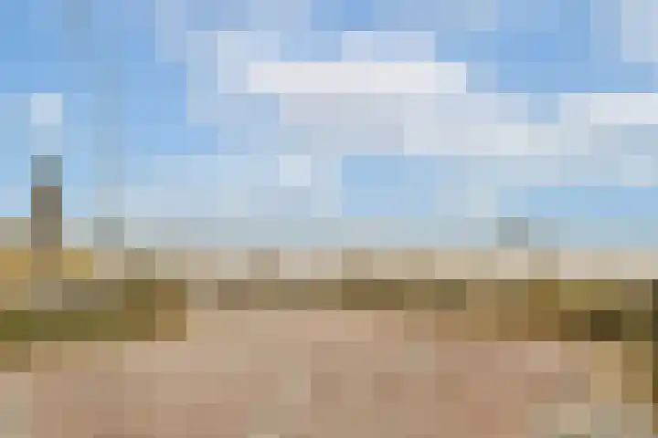 Hogeweg 56 F 6 Zandvoort thumbnail 26