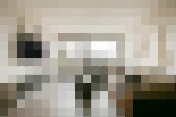 Hogeweg 56 F 6 Zandvoort thumbnail 7