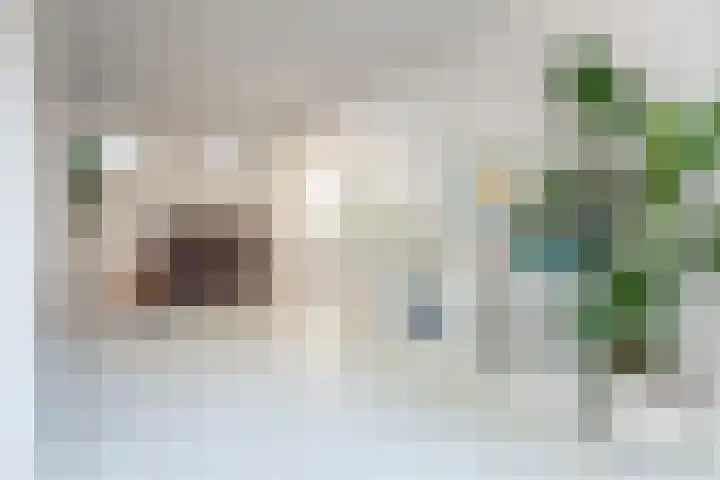 Hogeweg 57 A Ulft thumbnail 11