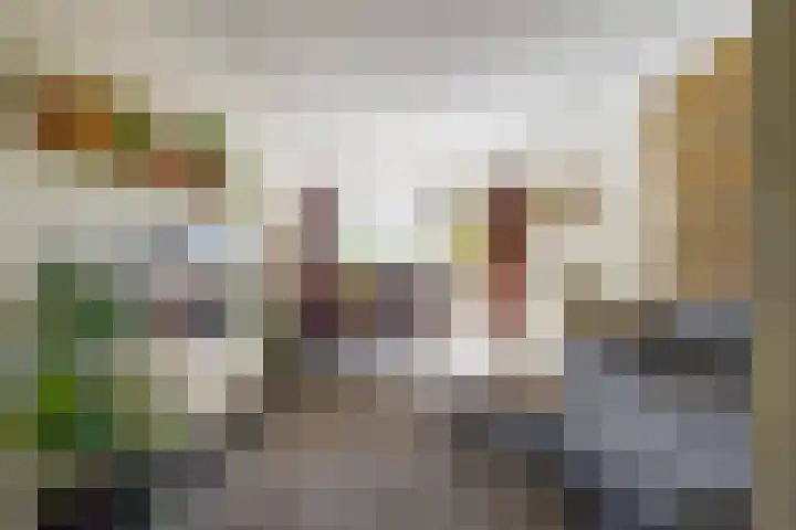 Hogeweg 57 A Ulft thumbnail 27