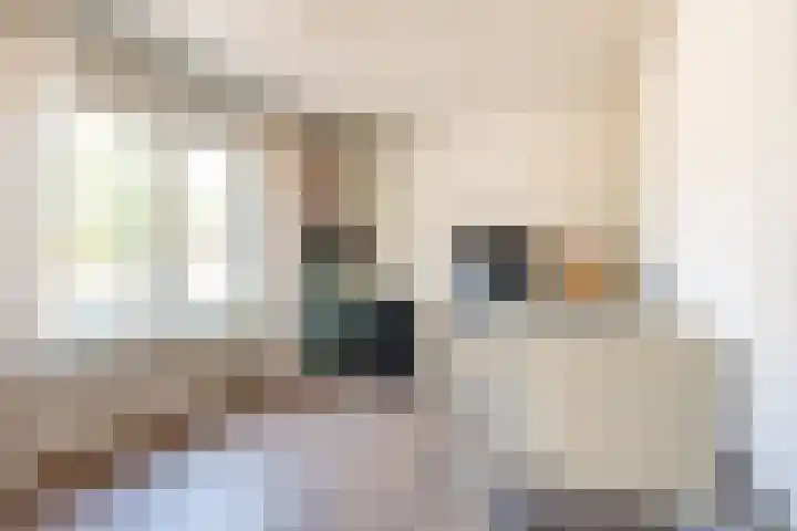 Hogeweg 57 A Ulft thumbnail 32