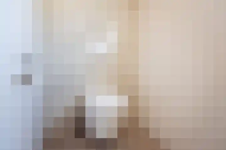 Hogeweg 57 A Ulft thumbnail 35