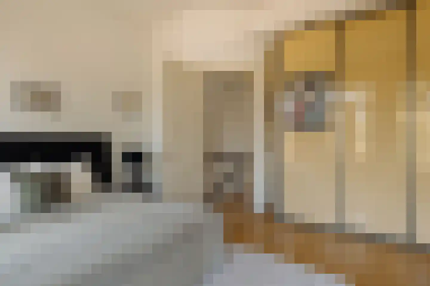 Hogeweg 57 Amsterdam thumbnail 15