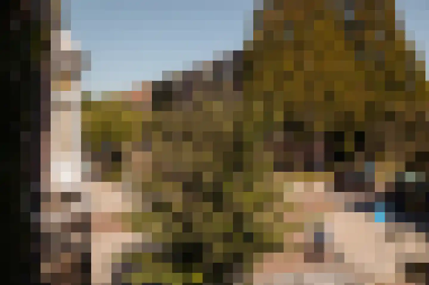 Hogeweg 57 Amsterdam thumbnail 17