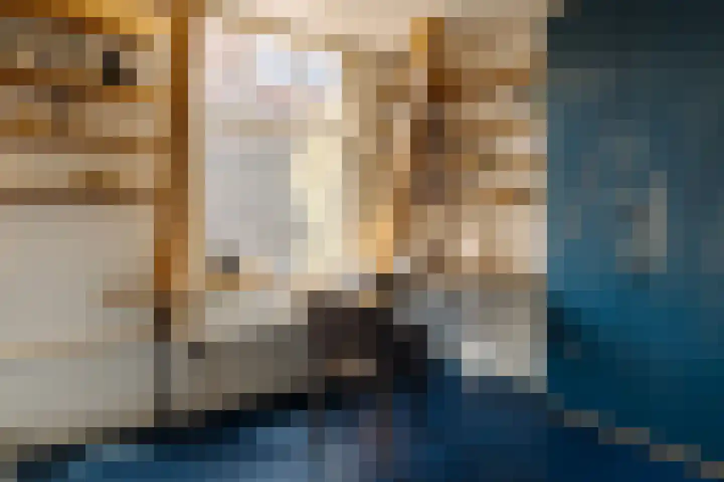 Hogeweg 57 Amsterdam thumbnail 22