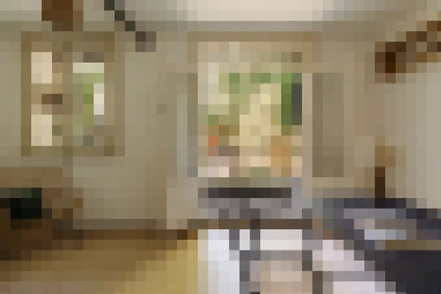 Hogeweg 57 Amsterdam thumbnail 25
