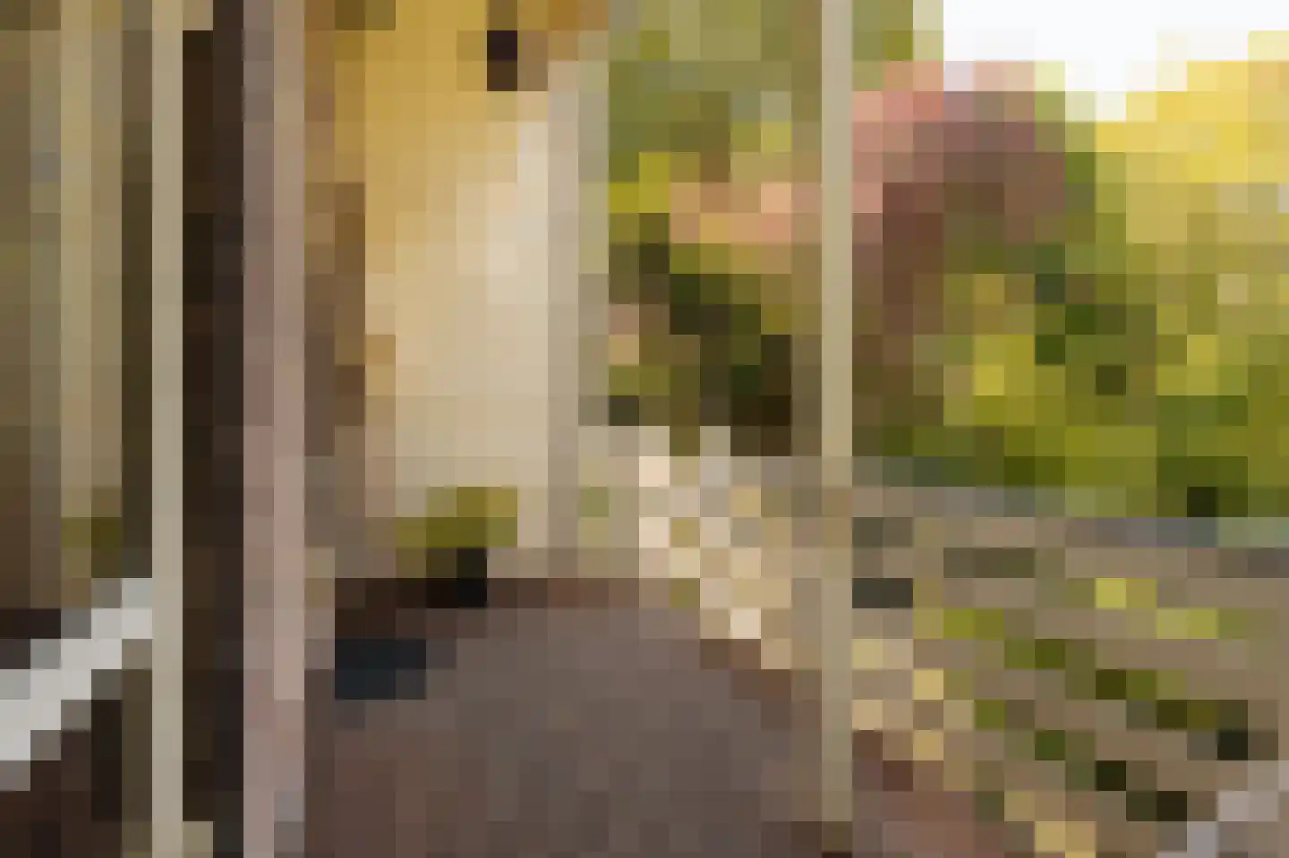 Hogeweg 57 Amsterdam thumbnail 4