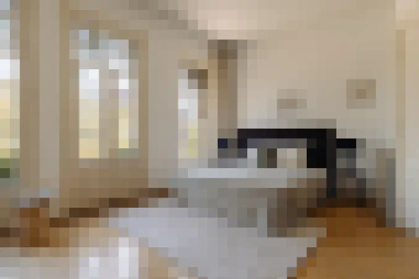 Hogeweg 57 Amsterdam thumbnail 5
