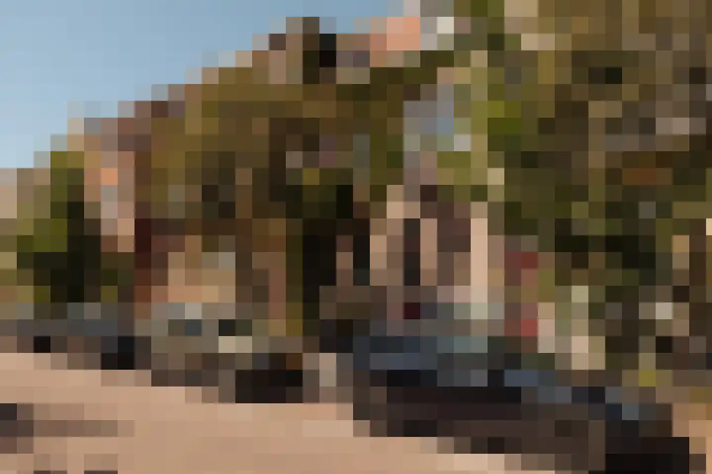 Hogeweg 57 Amsterdam thumbnail 6