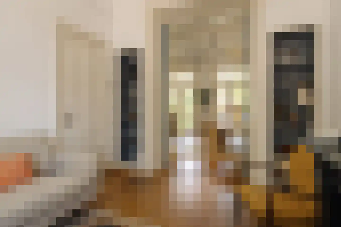 Hogeweg 57 Amsterdam thumbnail 8