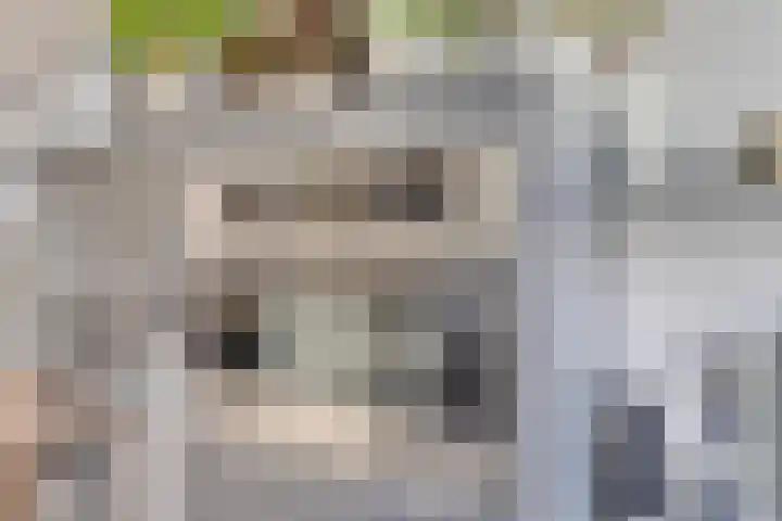 Hogeweg 58 Gronsveld thumbnail 16