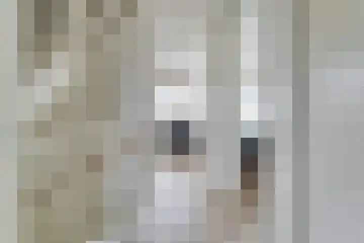 Hogeweg 58 Gronsveld thumbnail 19