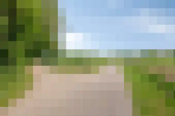 Hogeweg 58 Gronsveld thumbnail 26