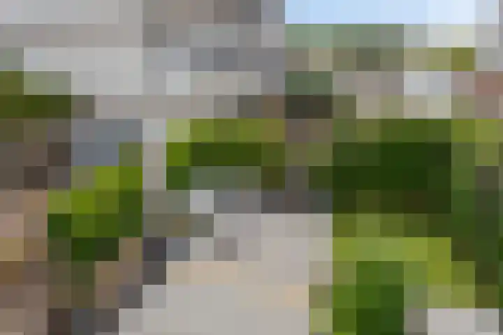 Hogeweg 58 Gronsveld thumbnail 32