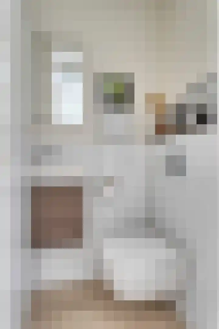 Hogeweg 58 Gronsveld thumbnail 5