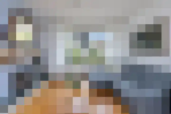 Hogeweg 58 Losser thumbnail 10