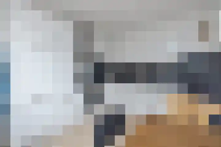 Hogeweg 58 Losser thumbnail 17