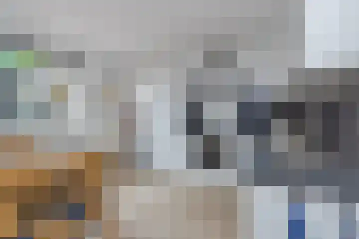 Hogeweg 58 Losser thumbnail 20