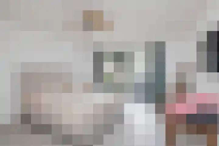 Hogeweg 58 Losser thumbnail 27