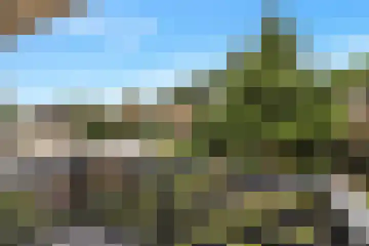 Hogeweg 58 Losser thumbnail 28