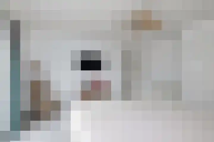 Hogeweg 58 Losser thumbnail 29