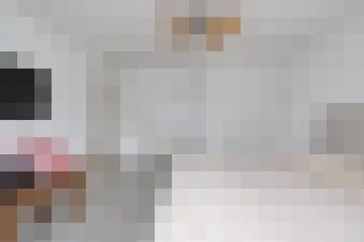 Hogeweg 58 Losser thumbnail 30